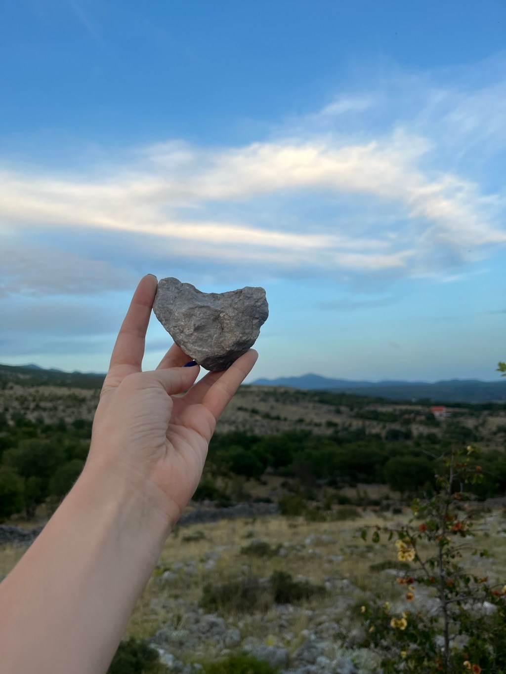 O snovima na&nbsp;javi
