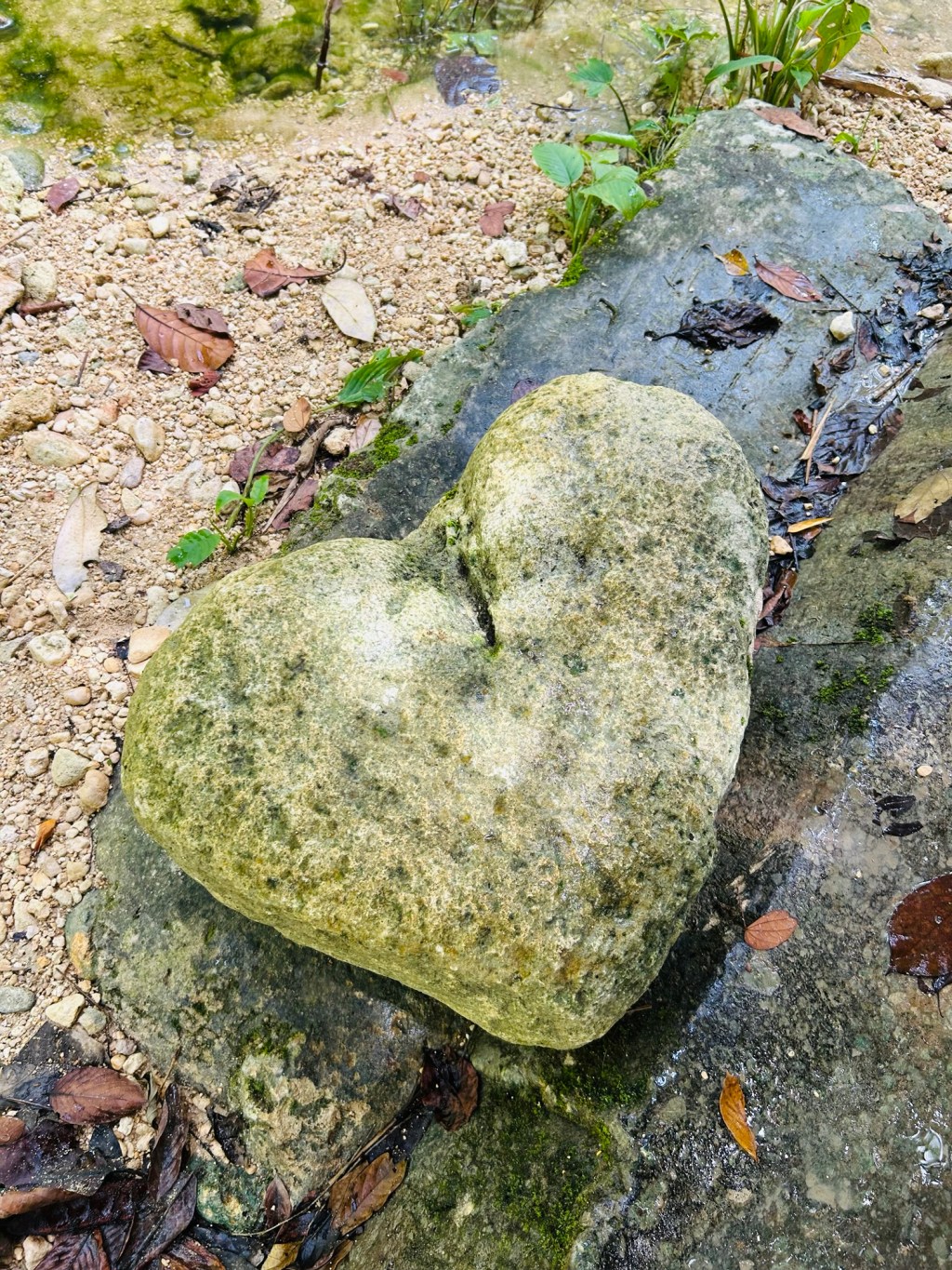 Ako me ikada&nbsp;sretneš